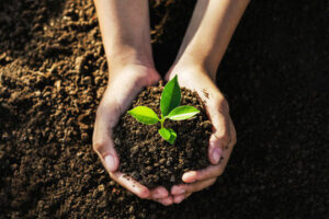 Kroger is inviting customers to celebrate Earth Month by giving back at checkout and rounding up their purchase to the nearest dollar in support of World Wildlife Fund’s (WWF) efforts to protect the planet.